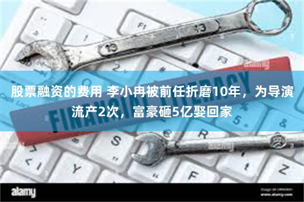 股票融资的费用 李小冉被前任折磨10年，为导演流产2次，富豪砸5亿娶回家
