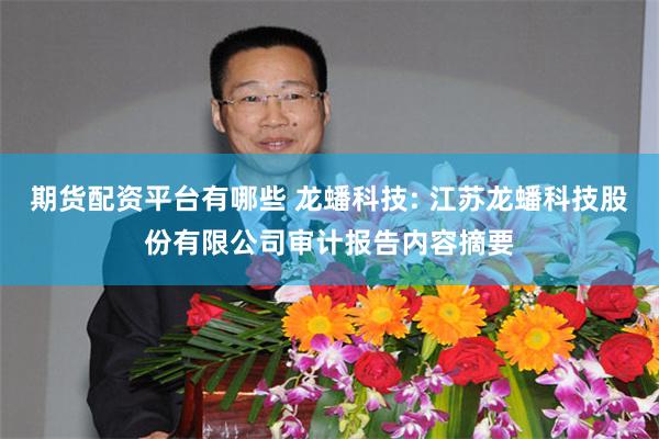 期货配资平台有哪些 龙蟠科技: 江苏龙蟠科技股份有限公司审计报告内容摘要