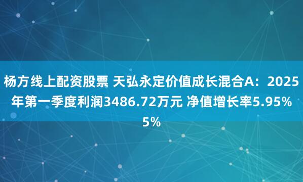 杨方线上配资股票 天弘永定价值成长混合A：2025年第一季度利润3486.72万元 净值增长率5.95%
