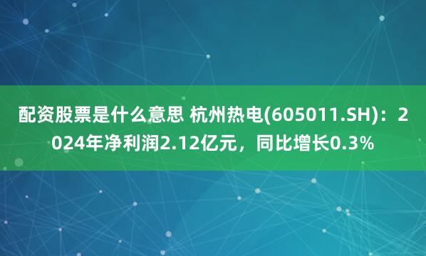 配资股票是什么意思 杭州热电(605011.SH)：2024年净利润2.12亿元，同比增长0.3%