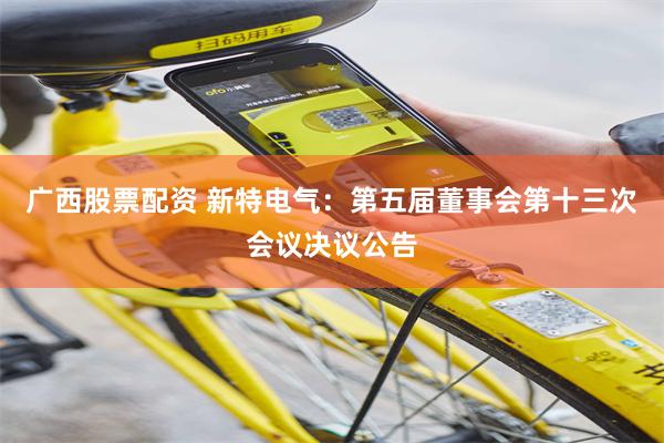 广西股票配资 新特电气：第五届董事会第十三次会议决议公告
