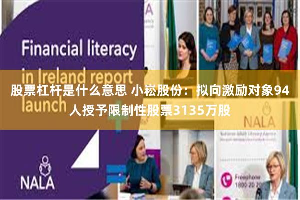 股票杠杆是什么意思 小崧股份：拟向激励对象94人授予限制性股票3135万股