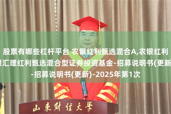 股票有哪些杠杆平台 农银红利甄选混合A,农银红利甄选混合C: 农银汇理红利甄选混合型证券投资基金-招募说明书(更新)-2025年第1次