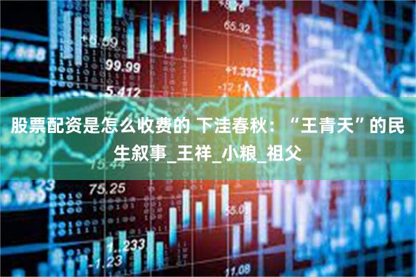 股票配资是怎么收费的 下洼春秋：“王青天”的民生叙事_王祥_小粮_祖父