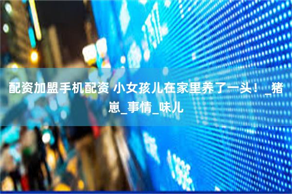 配资加盟手机配资 小女孩儿在家里养了一头！_猪崽_事情_味儿