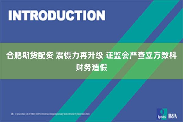 合肥期货配资 震慑力再升级 证监会严查立方数科财务造假