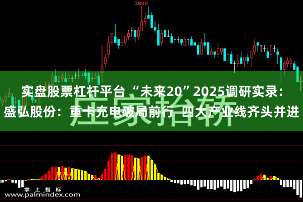 实盘股票杠杆平台 “未来20”2025调研实录：盛弘股份：重卡充电破局前行  四大产业线齐头并进