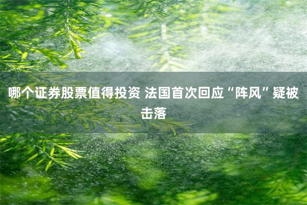 哪个证券股票值得投资 法国首次回应“阵风”疑被击落