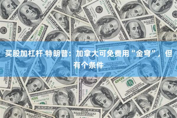 买股加杠杆 特朗普：加拿大可免费用“金穹”，但有个条件