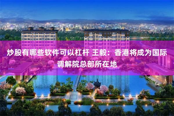 炒股有哪些软件可以杠杆 王毅：香港将成为国际调解院总部所在地