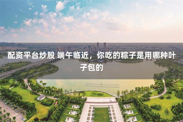 配资平台炒股 端午临近，你吃的粽子是用哪种叶子包的