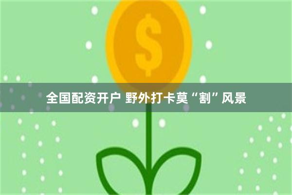 全国配资开户 野外打卡莫“割”风景