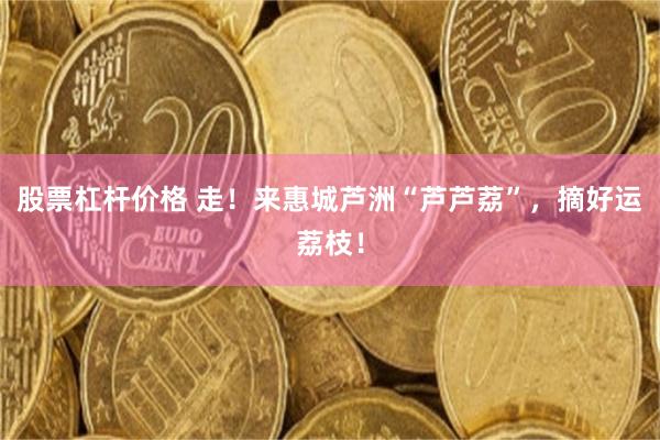 股票杠杆价格 走！来惠城芦洲“芦芦荔”，摘好运荔枝！