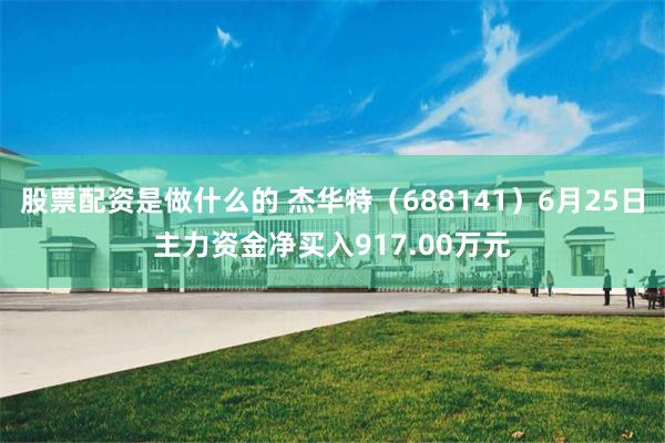 股票配资是做什么的 杰华特（688141）6月25日主力资金净买入917.00万元