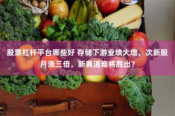 股票杠杆平台哪些好 存储下游业绩大增，次新股月涨三倍，新赛道谁将胜出？