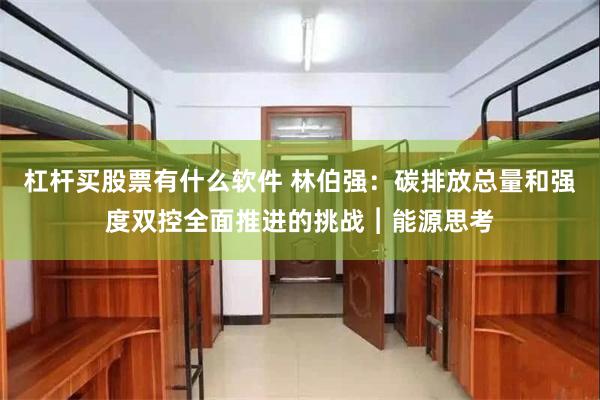 杠杆买股票有什么软件 林伯强：碳排放总量和强度双控全面推进的挑战︱能源思考