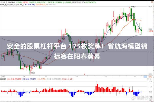 安全的股票杠杆平台 175枚奖牌！省航海模型锦标赛在阳春落幕
