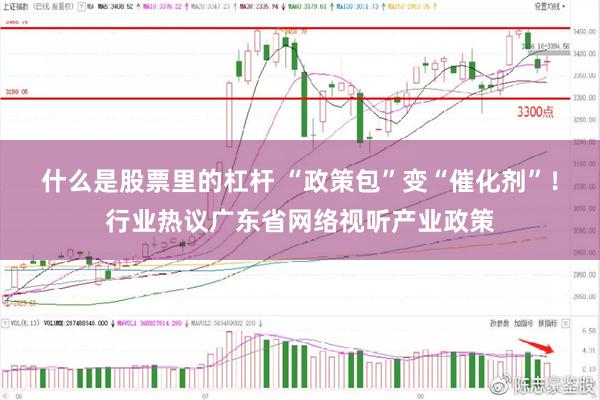 什么是股票里的杠杆 “政策包”变“催化剂”！行业热议广东省网络视听产业政策