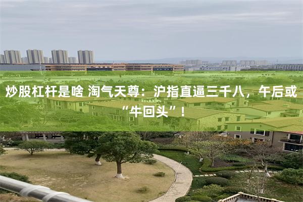 炒股杠杆是啥 淘气天尊：沪指直逼三千八，午后或“牛回头”！