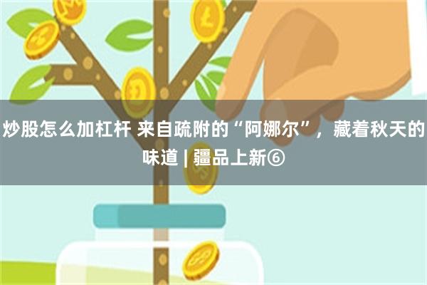 炒股怎么加杠杆 来自疏附的“阿娜尔”，藏着秋天的味道 | 疆品上新⑥