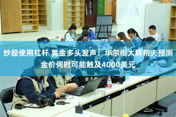炒股使用杠杆 黄金多头发声！华尔街大鳄希夫预测金价何时可能触及4000美元