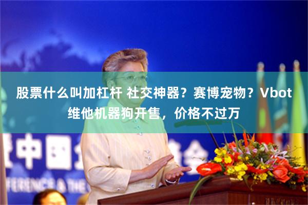 股票什么叫加杠杆 社交神器？赛博宠物？Vbot维他机器狗开售，价格不过万