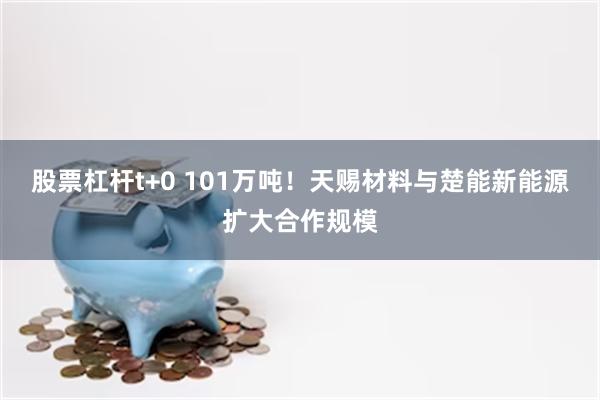 股票杠杆t+0 101万吨！天赐材料与楚能新能源扩大合作规模