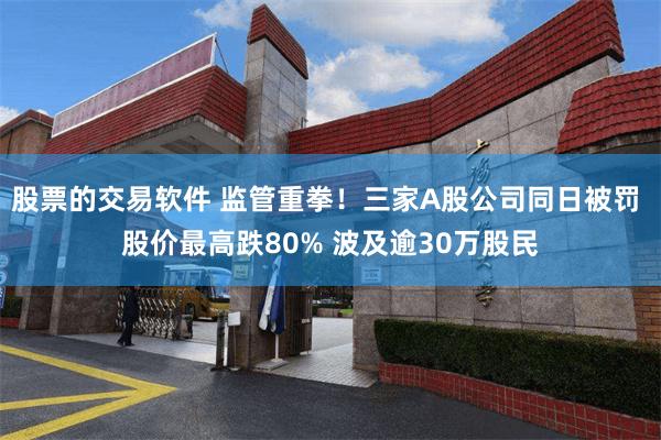 股票的交易软件 监管重拳!三家A股公司同日被罚 股价最高跌80% 波及逾30万股民
