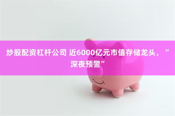 炒股配资杠杆公司 近6000亿元市值存储龙头,“深夜预警”