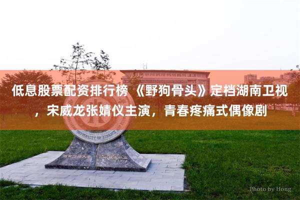 低息股票配资排行榜 《野狗骨头》定档湖南卫视，宋威龙张婧仪主演，青春疼痛式偶像剧