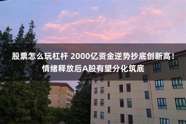 股票怎么玩杠杆 2000亿资金逆势抄底创新高！情绪释放后A股有望分化筑底