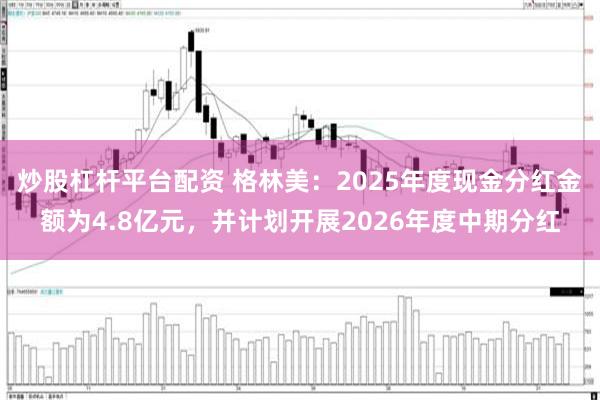 炒股杠杆平台配资 格林美：2025年度现金分红金额为4.8亿元，并计划开展2026年度中期分红