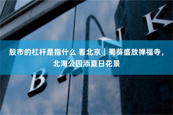 股市的杠杆是指什么 看北京｜蜀葵盛放禅福寺，北海公园添夏日花景