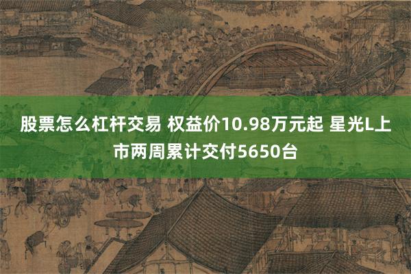 股票怎么杠杆交易 权益价10.98万元起 星光L上市两周累计交付5650台