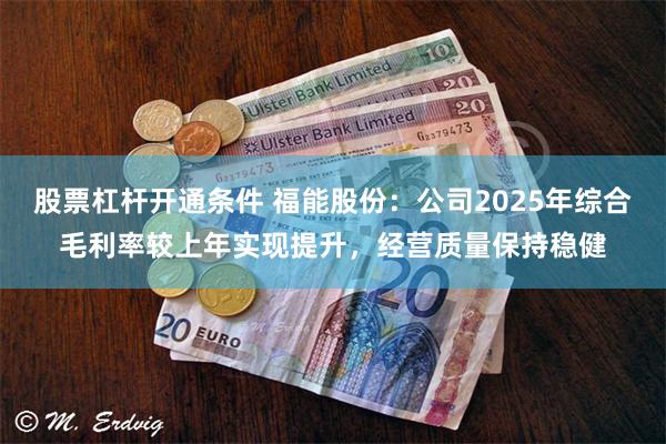 股票杠杆开通条件 福能股份：公司2025年综合毛利率较上年实现提升，经营质量保持稳健