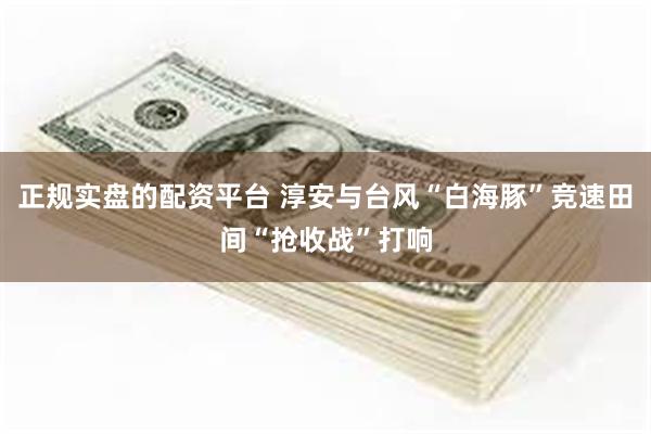 正规实盘的配资平台 淳安与台风“白海豚”竞速田间“抢收战”打响