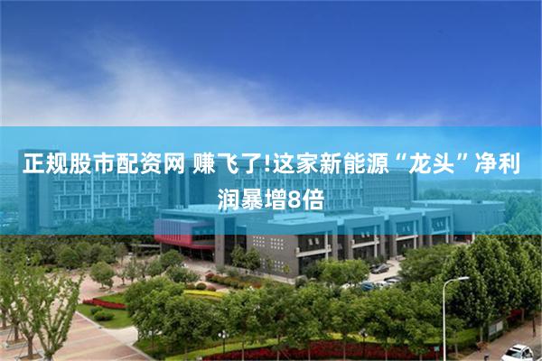 正规股市配资网 赚飞了!这家新能源“龙头”净利润暴增8倍