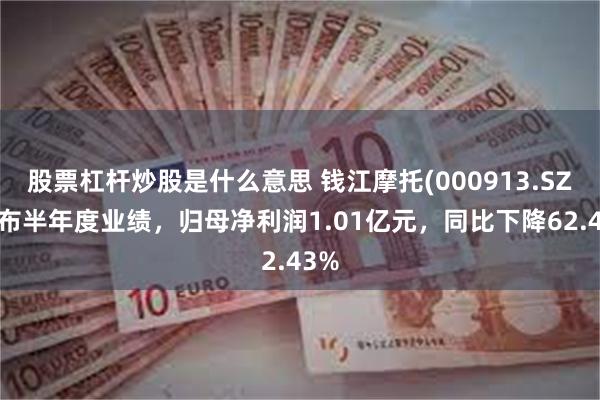 股票杠杆炒股是什么意思 钱江摩托(000913.SZ)发布半年度业绩，归母净利润1.01亿元，同比下降62.43%