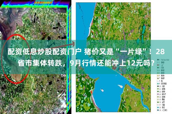 配资低息炒股配资门户 猪价又是“一片绿”！28省市集体转跌，9月行情还能冲上12元吗？