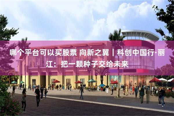 哪个平台可以买股票 向新之翼｜科创中国行·丽江：把一颗种子交给未来
