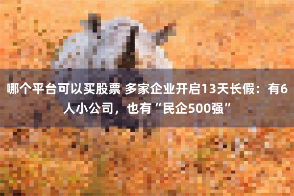 哪个平台可以买股票 多家企业开启13天长假：有6人小公司，也有“民企500强”