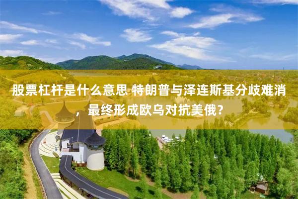 股票杠杆是什么意思 特朗普与泽连斯基分歧难消,最终形成欧乌对抗美俄?