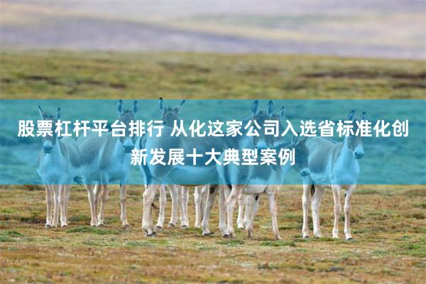 股票杠杆平台排行 从化这家公司入选省标准化创新发展十大典型案例