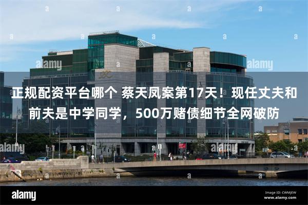 正规配资平台哪个 蔡天凤案第17天！现任丈夫和前夫是中学同学，500万赌债细节全网破防