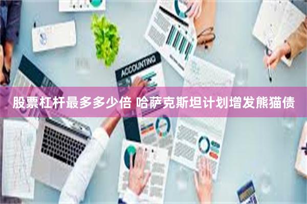 股票杠杆最多多少倍 哈萨克斯坦计划增发熊猫债